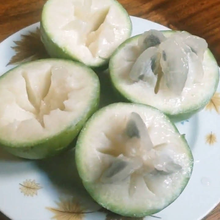 Star apple fruit, Caimito, Cainito