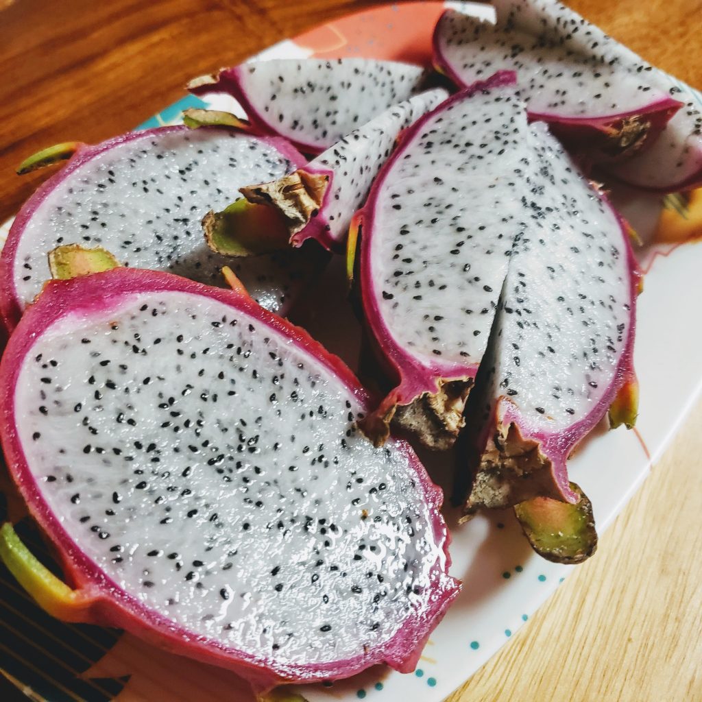 dragon fruit, how to grow and care for dragon fruit