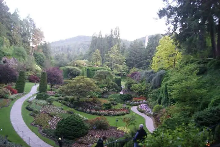 sunken garden, butcher garden