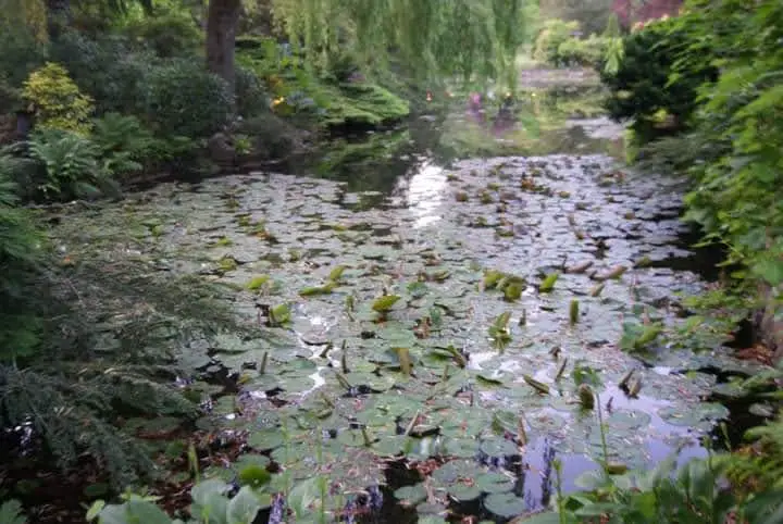 butchart garden