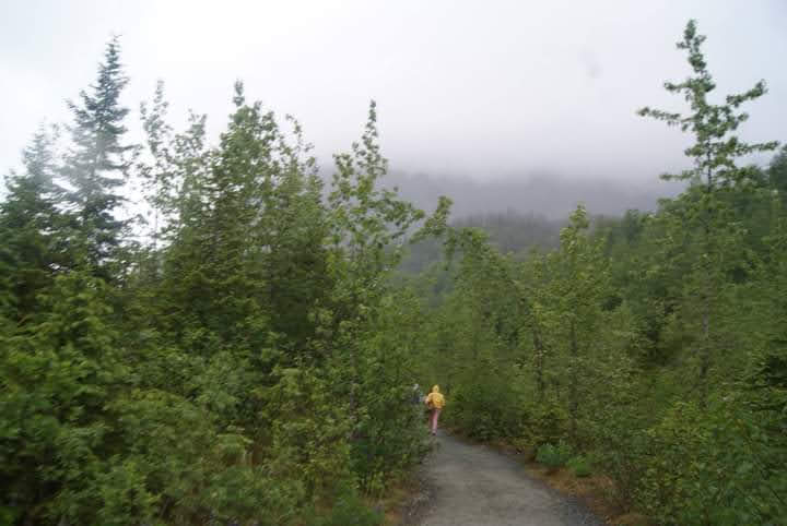Mendenhall glacier alaska