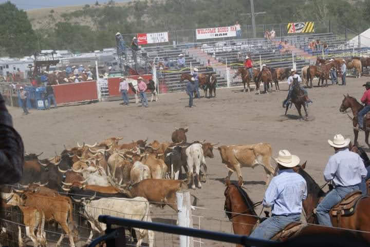 Livingston roundup rodeo