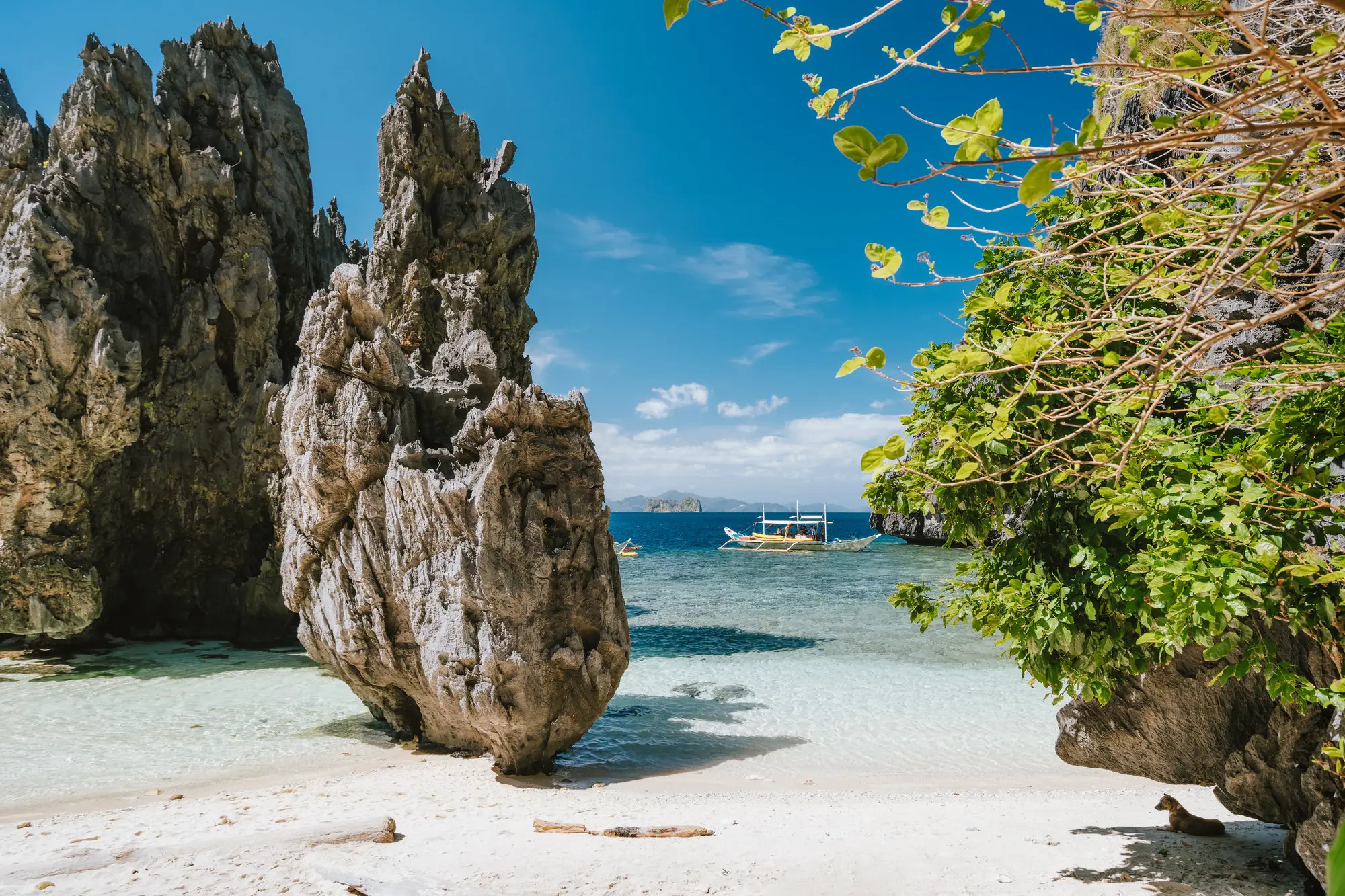 tours in palawan philippines