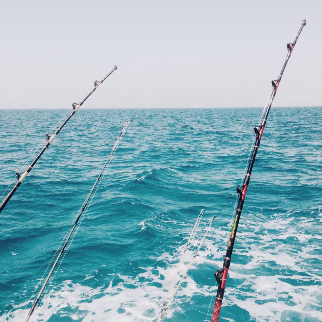Fishing