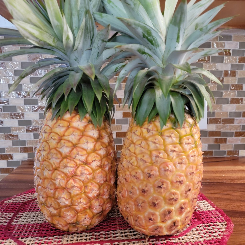 maui pineapple