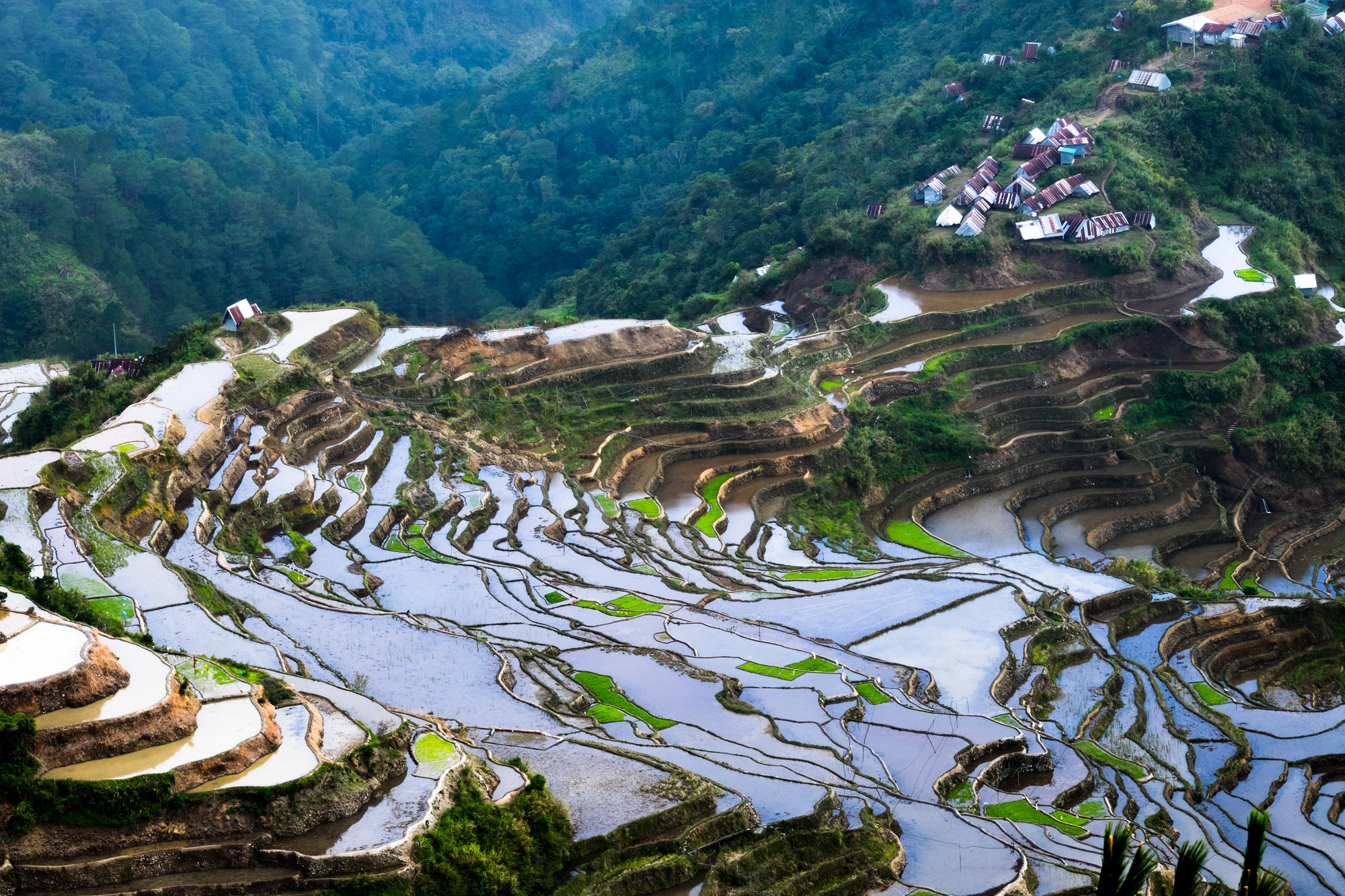 Village houses near rice terraces fields. Ifugao province. Banaue, Philippines