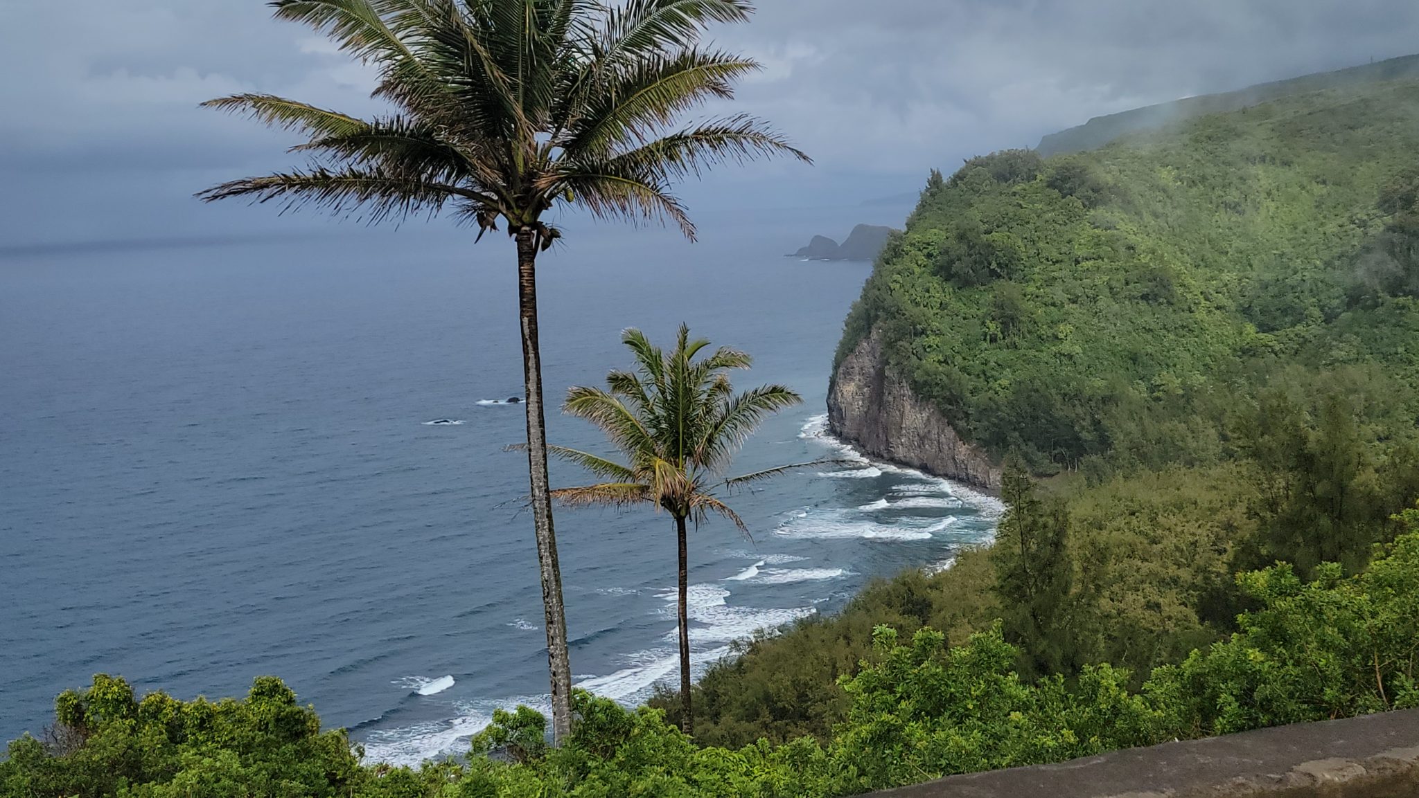 Best Things to do in Kohala Big Island Hawaii ( Waimea ) Top Sights and